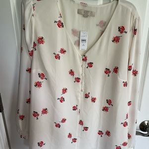 Loft plus size blouse.